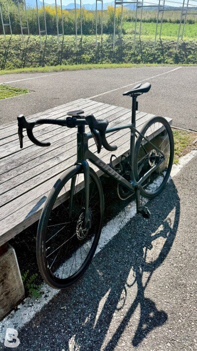 Giant TCR Advanced 1 KOM 2025