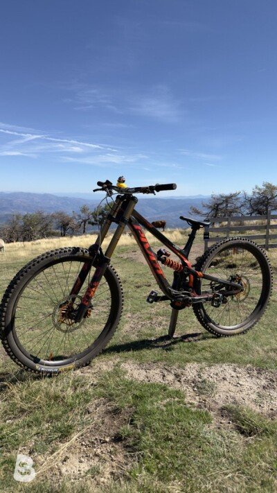 Pivot Phoenix 29 Pro Saint 2024