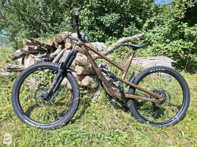 Radon SWOOP 10.0 2022