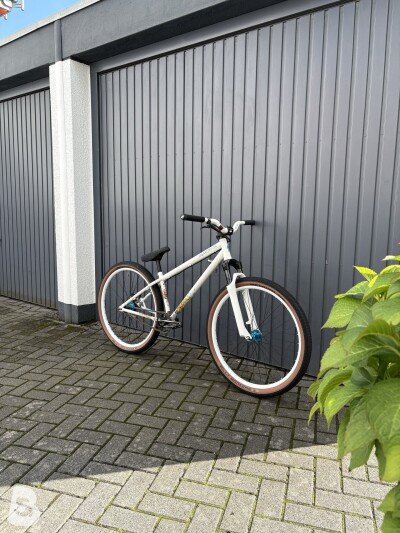 Specialized P.1 2010