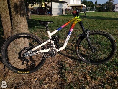 Norco Shore custom 2023
