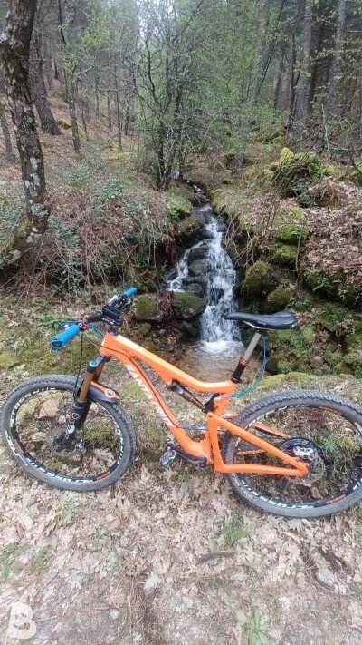Santa Cruz 5010 C 2015