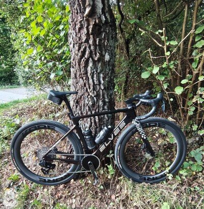Elves Mori AeroX 2025