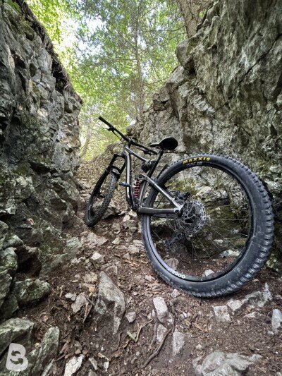 Giant Reign 29 2022