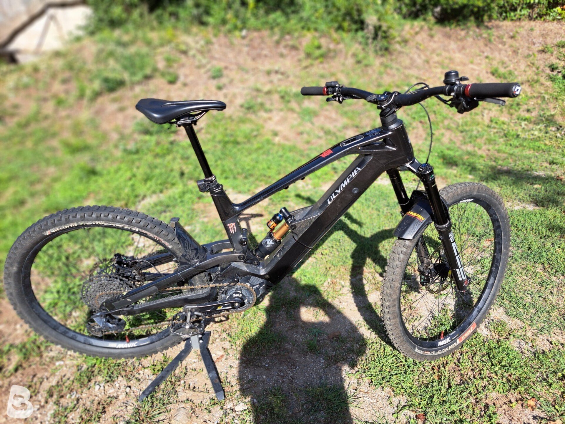 Olympia Murdok 2025 used