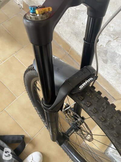 Formula Selva S 2024