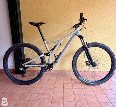 Specialized Men's Stumpjumper ST Comp Alloy 29 2019