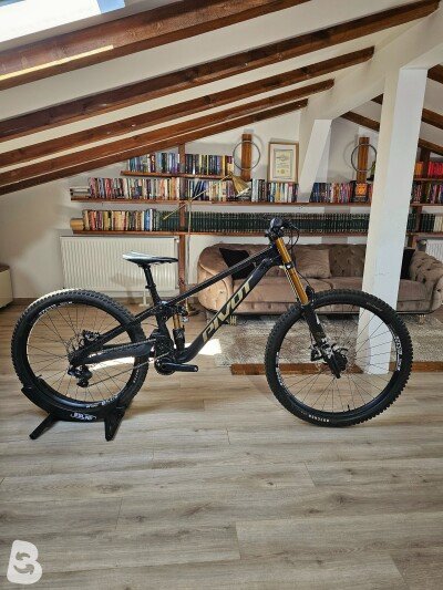 Pivot Phoenix Ride GX DH 2025