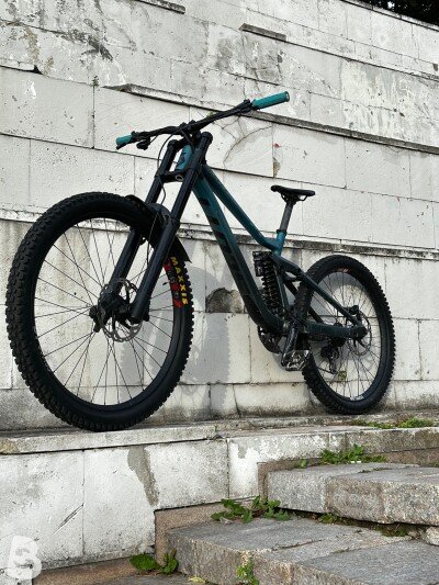 Scott Gambler 910 2023