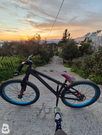 Kellys Whip 30 2021