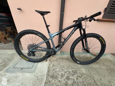 Specialized epic word cup frame 2025