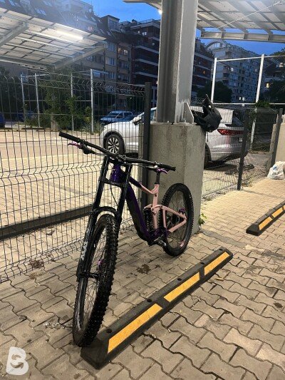 Giant Reign Sx 2024