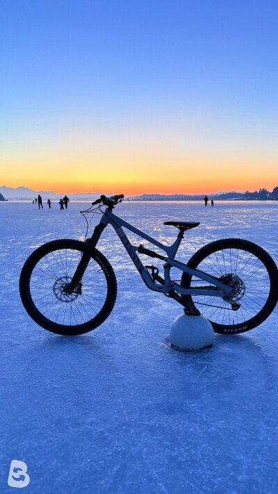 Canyon Spectral 5 2024