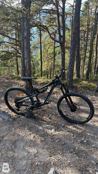 Rockrider All-Mountain Bike AM Fifty_S 2021