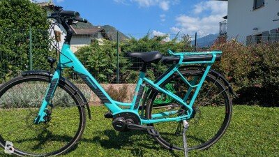 Bianchi Long Island Altus 2020