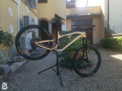 Rockrider feel 700 lt 2024