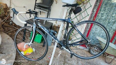 Nuzzi Nsr rocco 2010