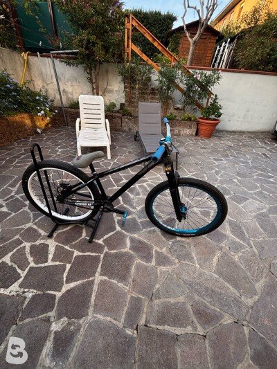 Canyon Stitched 360 custom 2019