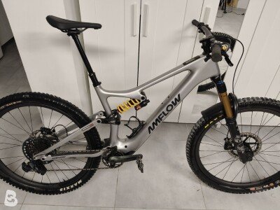 AMFLOW PL Carbon 2025
