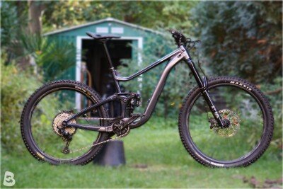Giant Reign 1 2024