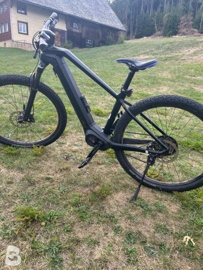 Bulls Sonic EVO 1 2020