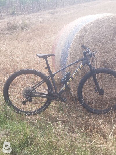 Trek Procaliber 9.5 2024