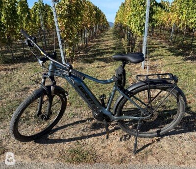 Giant Talon E+ EX 2023