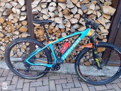 Torpado Ribot S Factory Custom 2024