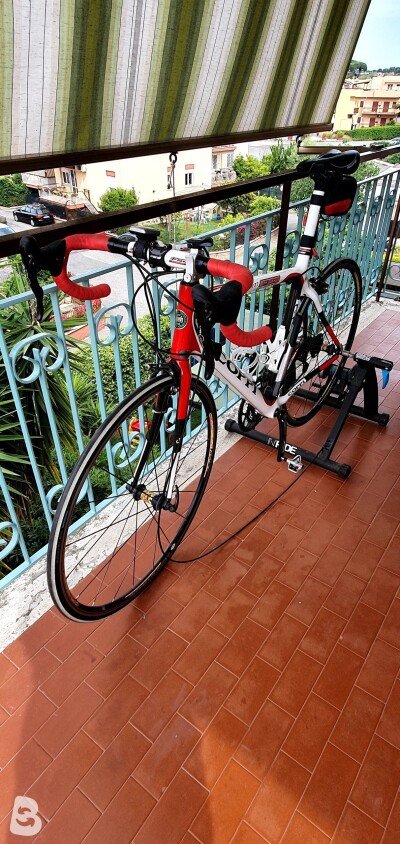 Pinarello Coppi 2019