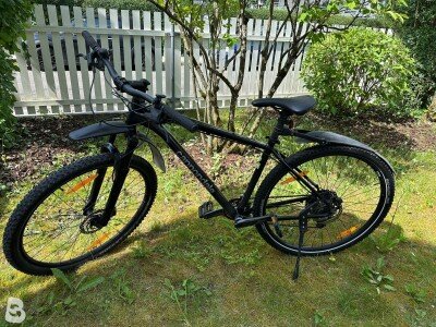 Cannondale Trial 5 Gr. L 2022
