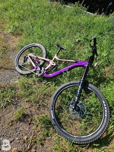 Giant Reign SX 2023
