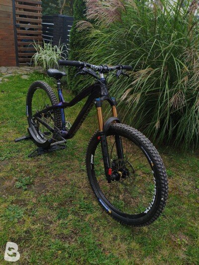 Dartmoor Hornet Pro 2025