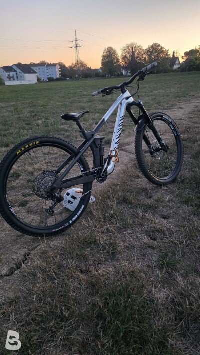 Canyon Strive CFR 2022