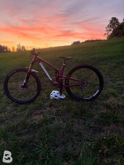 Propain Tyee CF 29 Performance 2022