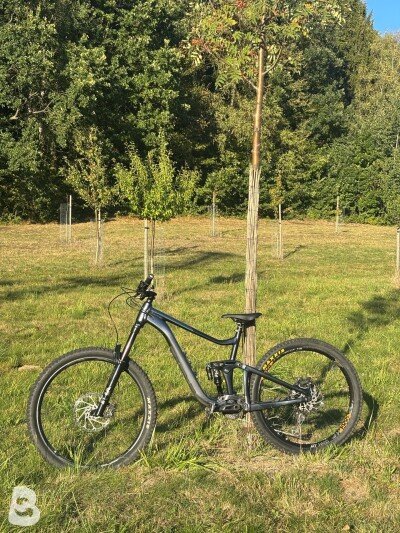 Giant Reign 1 2023