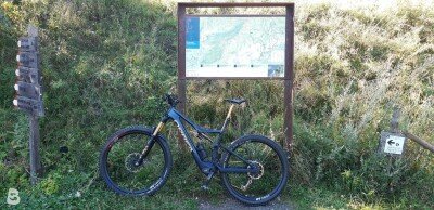 Orbea Rise M-Team 2021