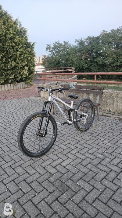 Dartmoor Jibbird 2026