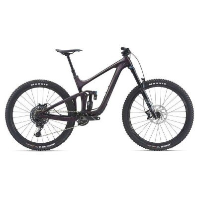 Giant Reign Advanced, Pro 29 1 2021