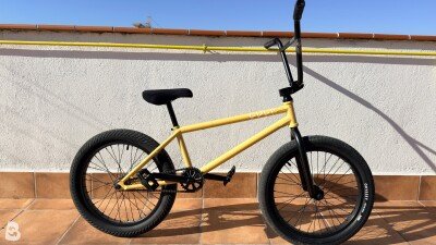 Cult DAK v3 2025