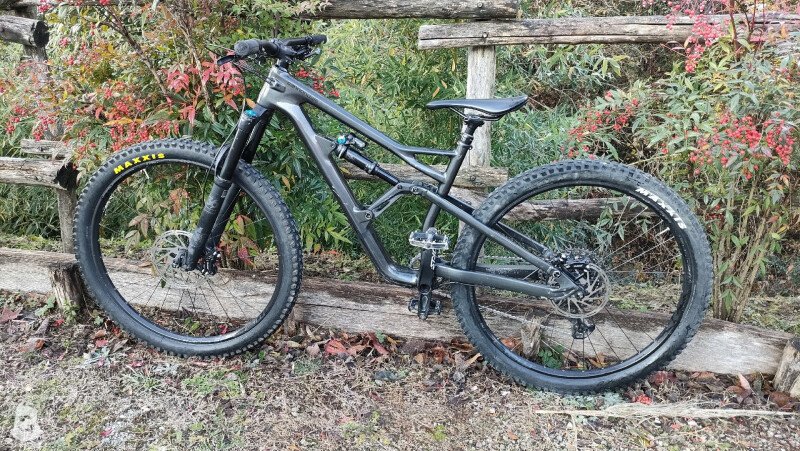 Cannondale jekyll 3 carbon online