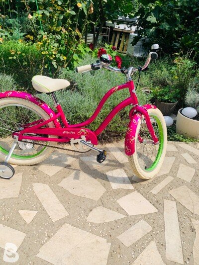 Electra Cherie 2019