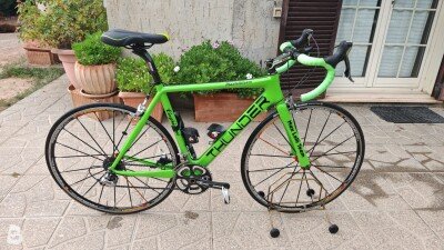Max Lelli Cinghialino 2015