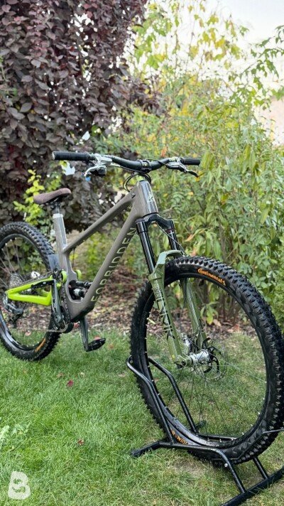 Forbidden Druid XT 2022