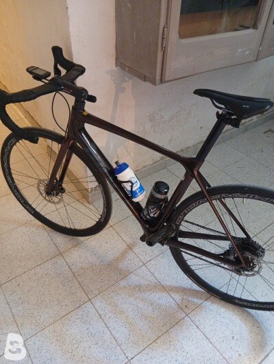 Giant TCR 2022