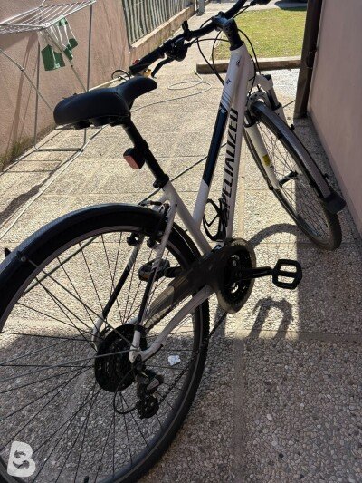 Specialized Ariel Sport Step-Through 2019
