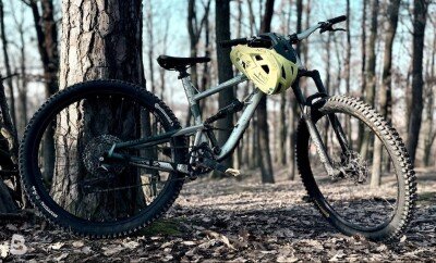 Kellys THORX 10 29" 2023