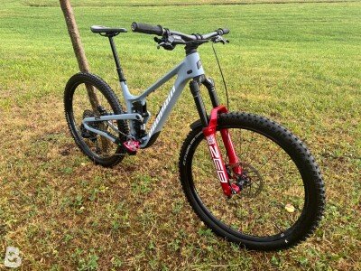 Propain Tyee 6.1 CF 29 2025