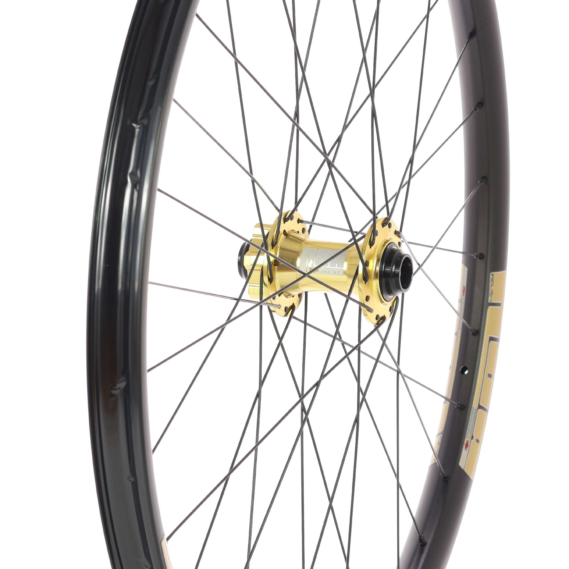Maxxis Noa Rough 30 OS Downhill
