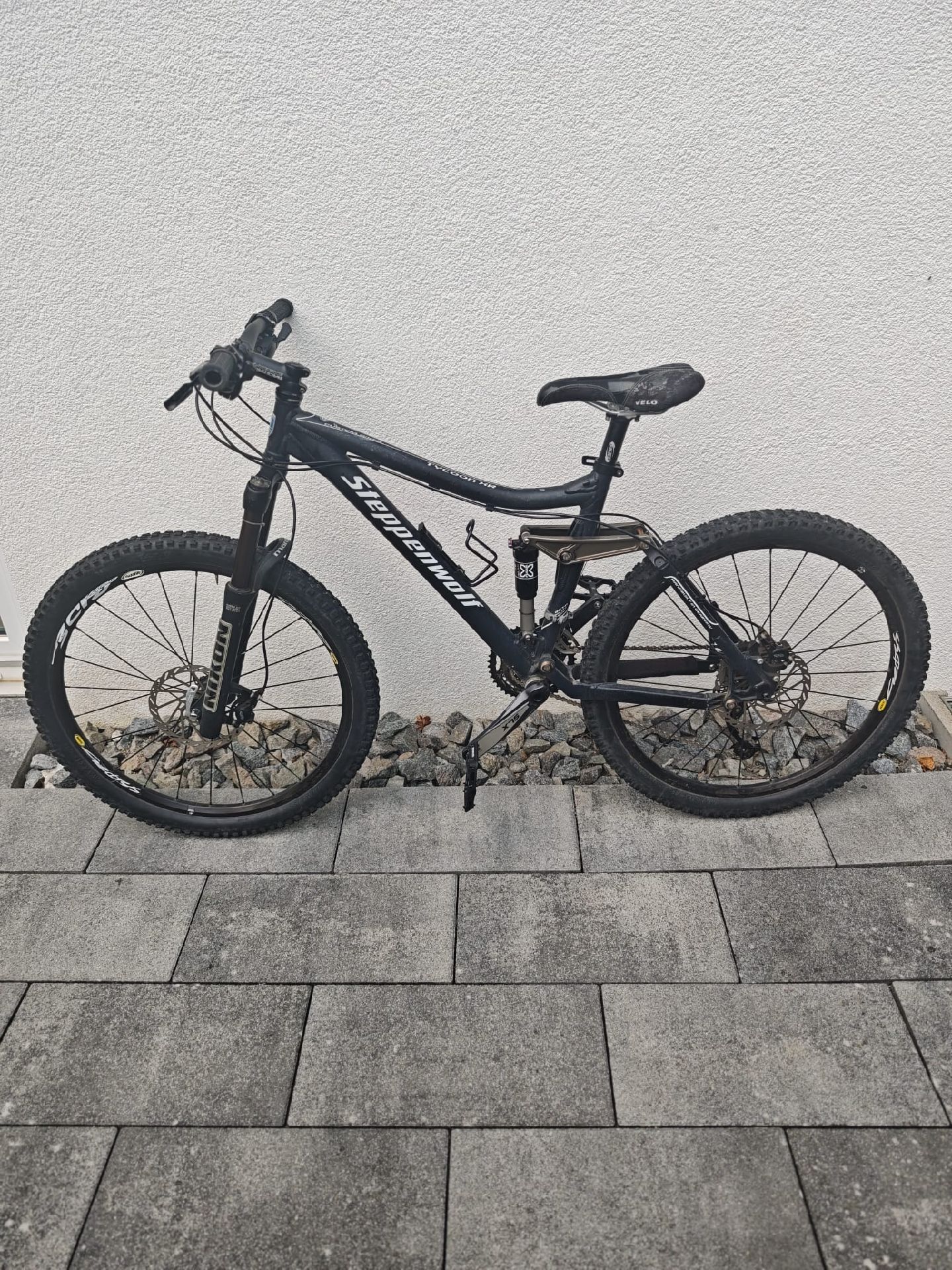 Steppenwolf Tycoon XR 2010