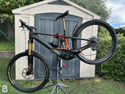 Orbea Wild M-LTD 2025